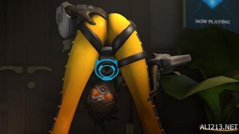 法想象的辛 法想象的辛